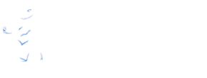 ENF Solar